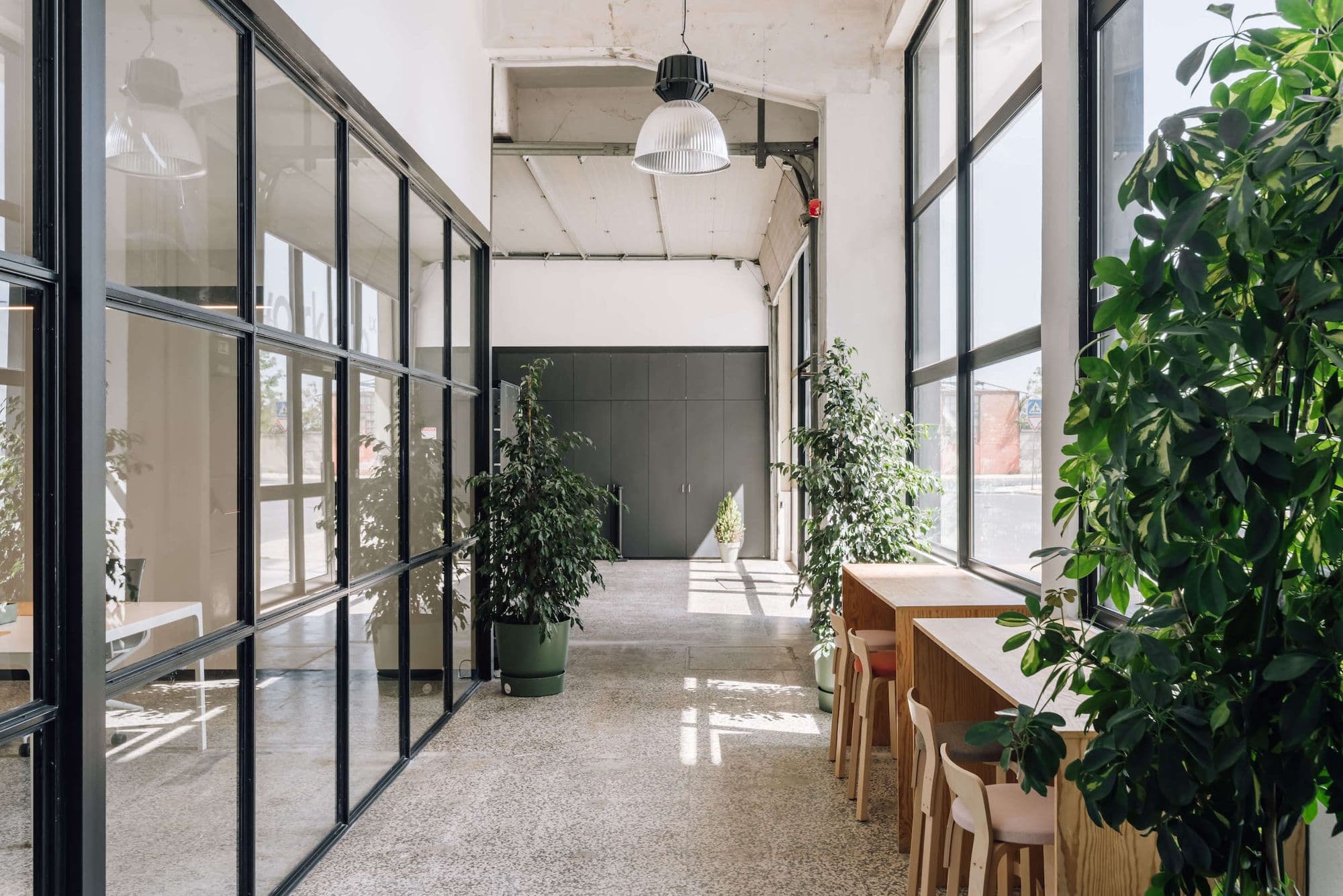 The glazed lounge at WorkHub Matinha, with plants and high wooden tables