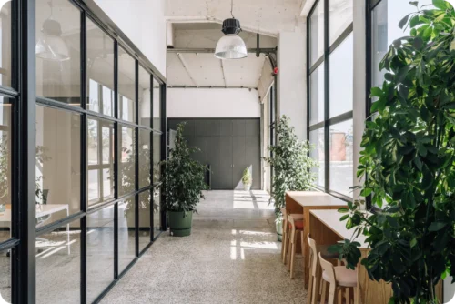 workhub lounge sitting area with plants and natural light